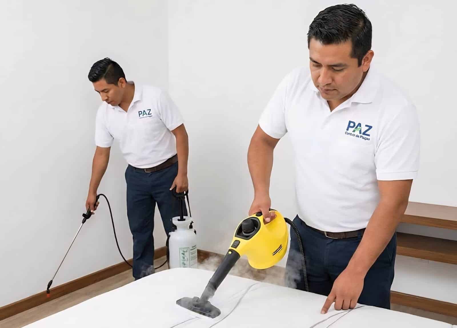 Técnicos de PAZ Control de Plagas realizando una fumigación de chinches con vapor a alta presión en un colchón y aspersión complementaria